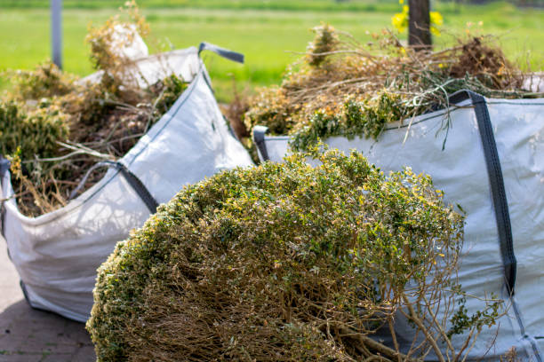 Best Appliance Removal Near Me  in Ralston, NE